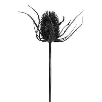 Fiore artificiale Cardo nobile DRINTA, nero, 75 cm