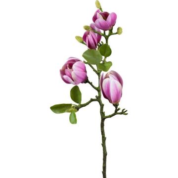 Ramo di magnolia artificiale NERLENA, cerise, 65 cm Ramo di magnolia artificiale NERLENA, cerise, 65 cm