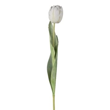 Fiore decorativo tulipano GUSNAV, bianco, 50cm, Ø5cm Fiore decorativo tulipano GUSNAV, bianco, 50cm, Ø5cm
