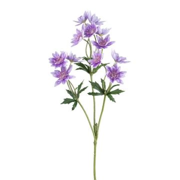 Ramo di fiori artificiali scabiosa FROSA, viola, 65 cm Ramo di fiori artificiali scabiosa FROSA, viola, 65 cm