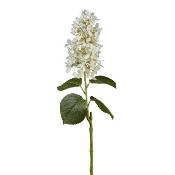 Fiore artificiale ortensia a pannocchia KINELY, bianco, 75 cm