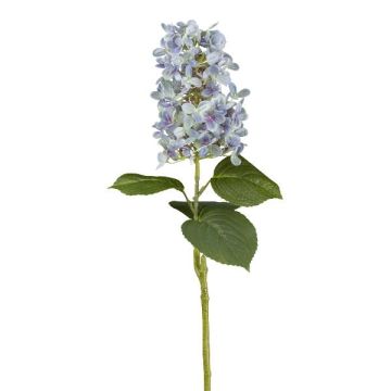 Fiore artificiale ortensia a pannocchia KINELY, azzurro, 75 cm