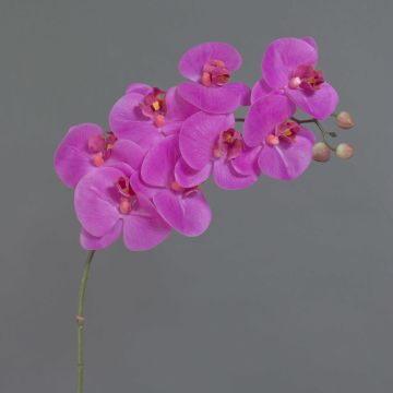 Orchidea Phalaenopsis sintetica AURELIA, fucsia, 95cm, Ø10cm Orchidea Phalaenopsis sintetica AURELIA, fucsia, 95cm, Ø10cm
