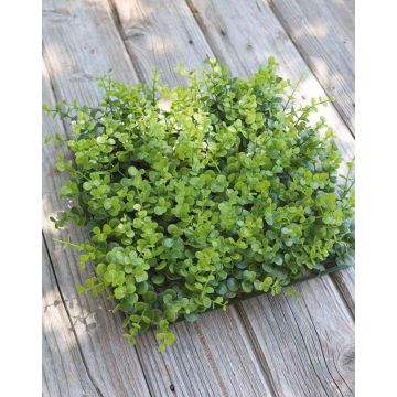 Siepe artificiale di eucalipto / Tapetto SERAFINO, verde, 35x35cm Siepe artificiale di eucalipto / Tapetto SERAFINO, verde, 35x35cm