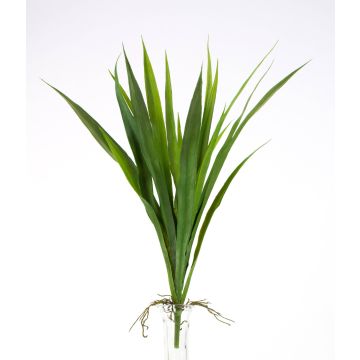 Hemerocallis finto RITA, gambo , radici aeree, verde, 40cm, Ø25cm Hemerocallis finto RITA, gambo , radici aeree, verde, 40cm, Ø25cm