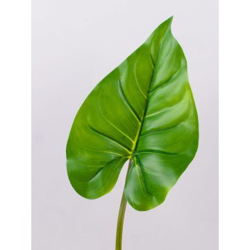 Foglia di calla artificiale KAMUELA, verde, 45cm Foglia di calla artificiale KAMUELA, verde, 45cm