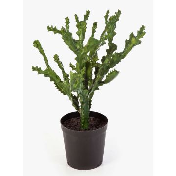 Euphorbia artificiale TIKO, verde, 75cm