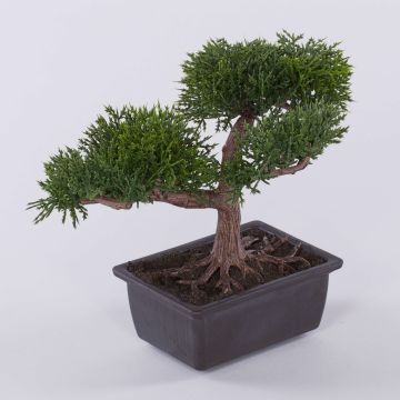 Bonsai artificiale di cedro ALVARI con radici, in ciotola decorativa, 20cm