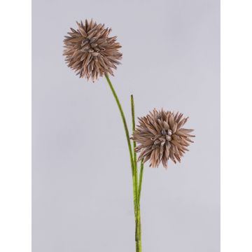Allium artificiale CHIRARA, marrone, 90cm, Ø10cm Allium artificiale CHIRARA, marrone, 90cm, Ø10cm
