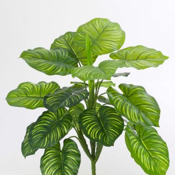 Pianta di calatea sintetica ULANI su stelo, verde, 45cm