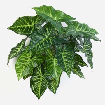 Singonio artificiale SERENO su stelo, verde, 45cm