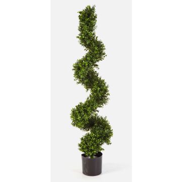 Albero di bosso artificiale TOM, stretto, verde, 135cm