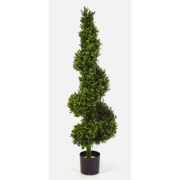 Albero di bosso artificiale TOM, spessa, verde, 135cm