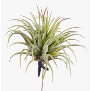 Tillandsia artificiale PENNY, su gambo, verde-rosso, 12cm, Ø10cm