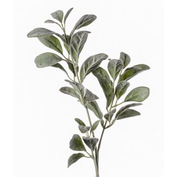 Ramo di stachys finto LEVIN, grigio-verde, 70cm
