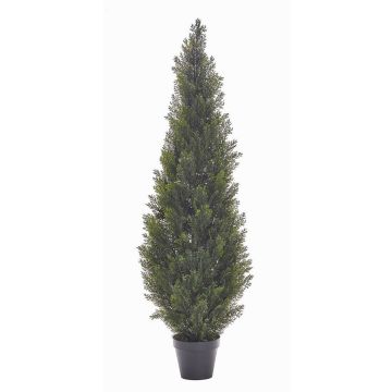 Cedro sintetico EDELA uv resistente, verde, 150cm
