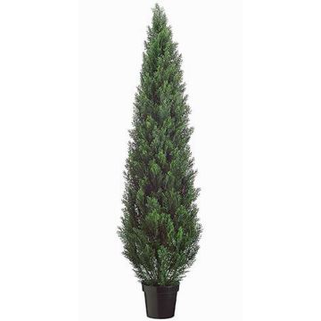 Cedro sintetico EDELA uv resistente, verde, 180cm