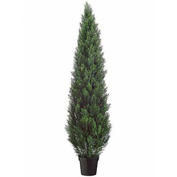 Cedro sintetico EDELA uv resistente, verde, 180cm