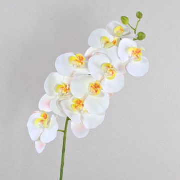 Orchidea Phalaenopsis finta OPHELIA, bianco, 100cm, Ø12cm