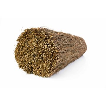 zerbino privacy screen mat LUKE da erica, marrone, 500cmx175cm zerbino privacy screen mat LUKE da erica, marrone, 500cmx175cm