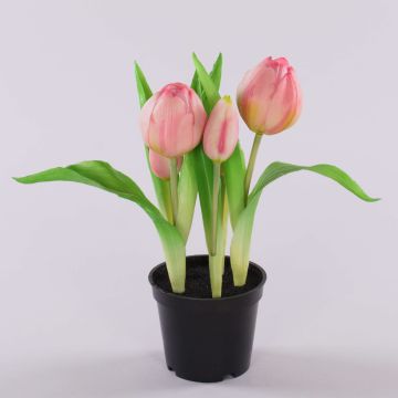 Tulipano artificiale CAITLYN in vaso decorativo, rosa-verde, 25cm, Ø2-6cm