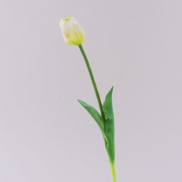Tulipano artificiale LONA, bianco-verde, 45cm, Ø4cm Tulipano artificiale LONA, bianco-verde, 45cm, Ø4cm