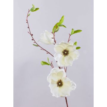 Ramo di magnolia finta FINAH, crema-bianco, 90cm, Ø9-15cm Ramo di magnolia finta FINAH, crema-bianco, 90cm, Ø9-15cm