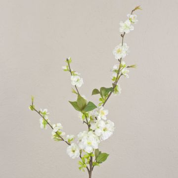 Ramo di ciliegio artificiale VALESKA con fiori, bianco, 85cm