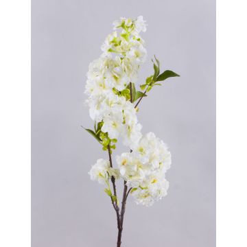 Ramo di ciliegio finto MATSUDA con fiori, crema-bianco, 80cm Ramo di ciliegio finto MATSUDA con fiori, crema-bianco, 80cm