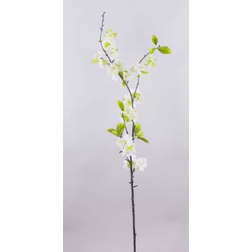 Ramo di ciliegio di imitazione VALESKA, con fiori, bianco, 105cm Ramo di ciliegio di imitazione VALESKA, con fiori, bianco, 105cm