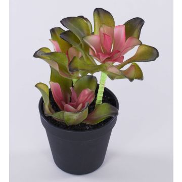 Echeveria artificiale SHAUNA in vaso decorativo, verde-viola, 25cm