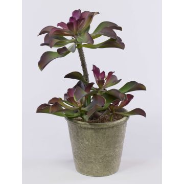 Echeveria artificiale SHAUNA in vaso decorativo, verde-viola, 40cm