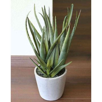Aloe sintetico NAMIKA, in vaso di cemento, verde, 40cm, Ø20cm