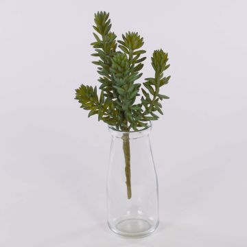 Pachyphytum artificiale LUDO su stelo, verde-grigio, 20cm, Ø12cm