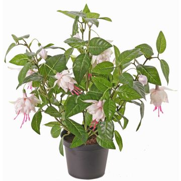 Fuchsia sintetica THAYNARA, con fiori, rosa pallido, 30cm, Ø5cm Fuchsia sintetica THAYNARA, con fiori, rosa pallido, 30cm, Ø5cm