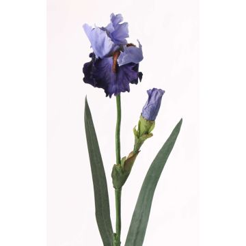 Iris artificiale ALYSSA, blu, 70cm, Ø13cm