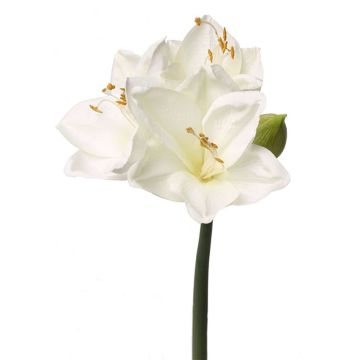 Amaryllis artificiale BENITA, bianco, 55cm, Ø10cm