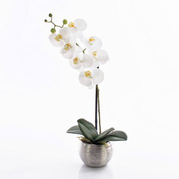 Orchidea Phalaenopsis artificiale EMILIA, vaso decorativo, bianco, 45cm Orchidea Phalaenopsis artificiale EMILIA, vaso decorativo, bianco, 45cm
