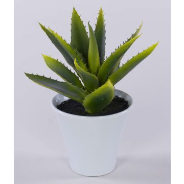 Aloe Vera artificiale ROSALINA in vaso di ceramica, verde, 21cm Aloe Vera artificiale ROSALINA in vaso di ceramica, verde, 21cm