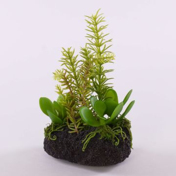 Composizione di succulente artificiali BAMBI con terriccio, verde, 19cm Composizione di succulente artificiali BAMBI con terriccio, verde, 19cm