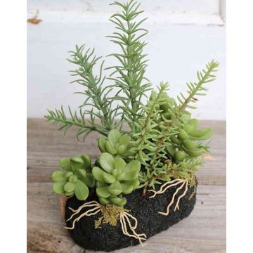 Composizione di succulente artificiali BAMBI con terriccio, verde, 19cm