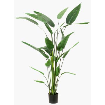 Heliconia finto ANURIA, verde, 175cm