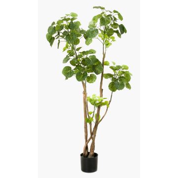 Polyscia sintetica FILARO, tronchi artificiali, verde, 135cm