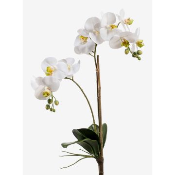 Orchidea finta CANDIDA su stelo, bianco, 65cm, Ø7-8cm