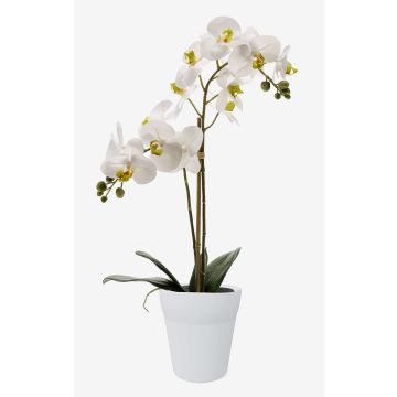 Orchidea finta CANDIDA in vaso di ceramica, bianco, 65cm, Ø7-8cm