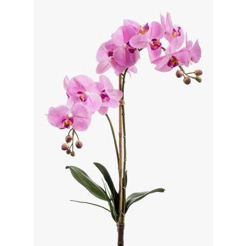 Orchidea finta CANDIDA su stelo, rosa, 65cm, Ø7-8cm