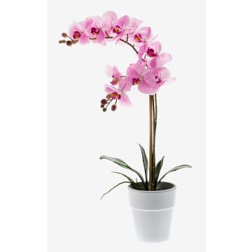Orchidea finta CANDIDA in vaso di ceramica, rosa, 65cm, Ø7-8cm