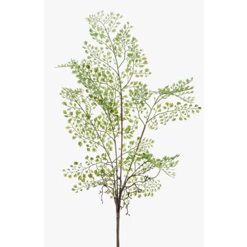Capelvenere sintetica ROBIN, verde, 50cm