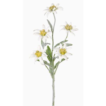 Stella alpina artificiale SOPHIA, bianco, 40cm, Ø5-6cm