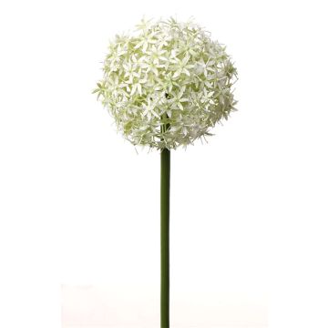 Fiore di allium artificiale SAMARA, crema, 75cm, Ø12cm Fiore di allium artificiale SAMARA, crema, 75cm, Ø12cm
